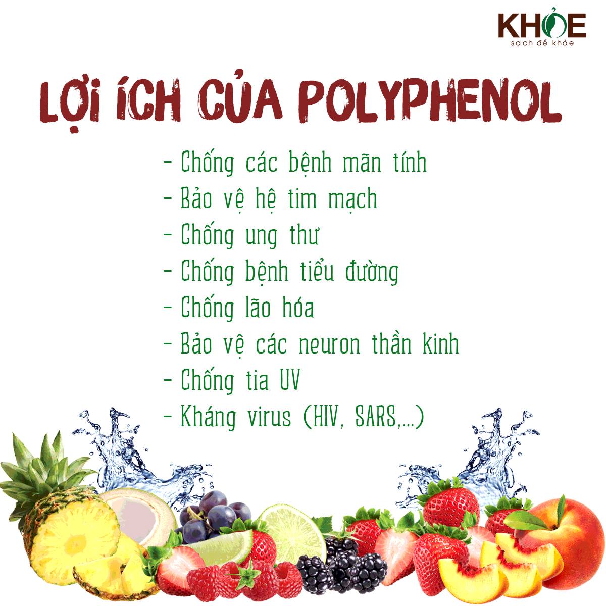 hoat-chat-polyphenol-trong-go-soi